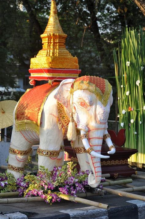 泰國大象象徵 自己的五行怎麼看